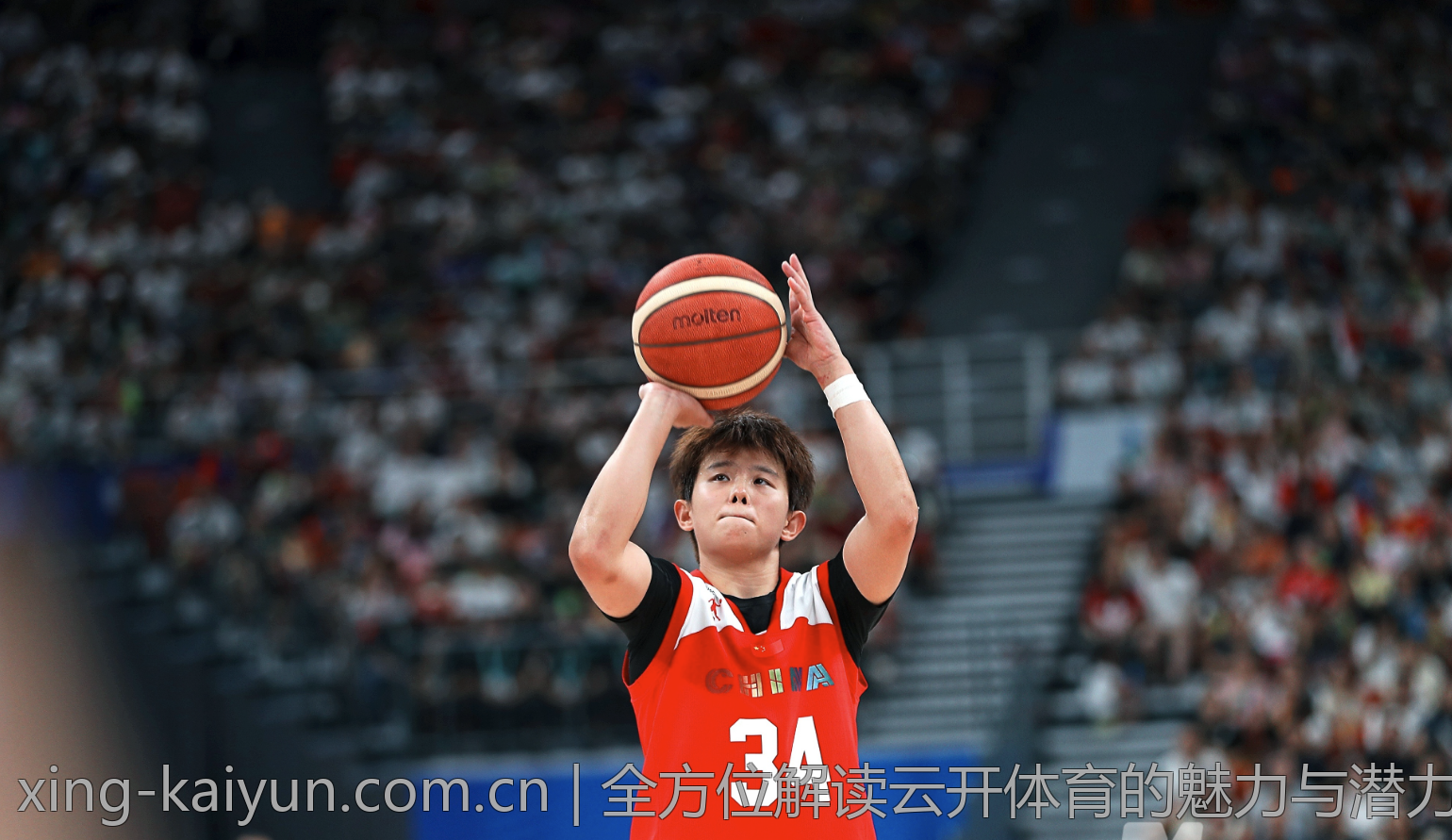 全方位解读云开体育的魅力与潜力